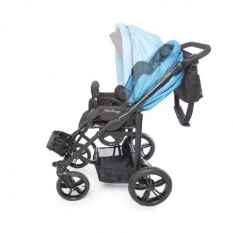 Детская прогулочная коляска ДЦП Liwcare Modi Buggy на раме Rico в Крыму