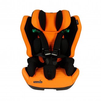 Детское автомобильное кресло ДЦП Thomashilfen RECARO Axion 1 Reha в Крыму