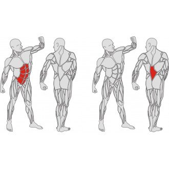 Тренажёр механотерапевтический для мышц пресса и спины Hur Rehabilitation 5310 в Крыму