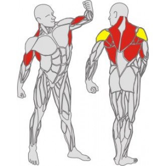 Тренажёр механотерапевтический для рук и спины Hur Rehabilitation 5175 в Крыму