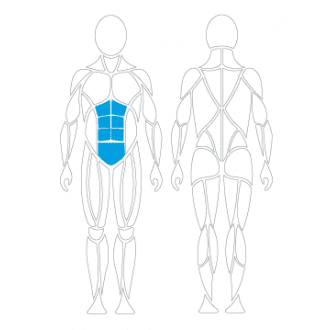 Тренажёр механотерапевтический для пресса David Abdominal Crunch G130 в Крыму