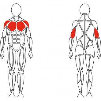 Тренажёр механотерапевтический для мышц груди David Chest Press G510 в Крыму