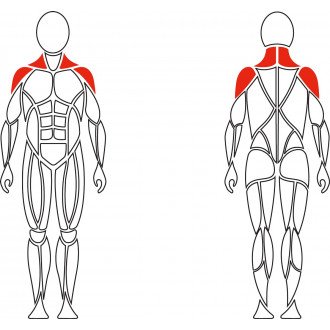 Тренажер механотерапевтический David Shoulder Concept F620 разведение рук в стороны в Крыму